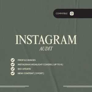 shop_ig_audit